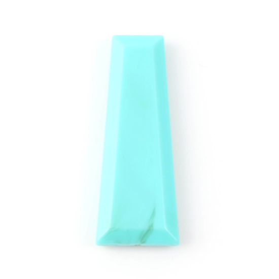 Image de Perles en Acrylique Echelle Bleu-Vert Imitation Turquoise 40mm x 16mm, Trou: env. 2mm, 20 Pcs