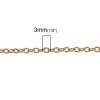 Picture of Iron Based Alloy Link Cable Chain Findings Rose Gold 3mm x2mm( 1/8" x 1/8"), 5 M