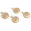 Picture of Brass Pet Memorial Charms Round Disc 18K Real Gold Plated Paw Claw Clear Cubic Zirconia 26mm x 19mm, 1 Piece