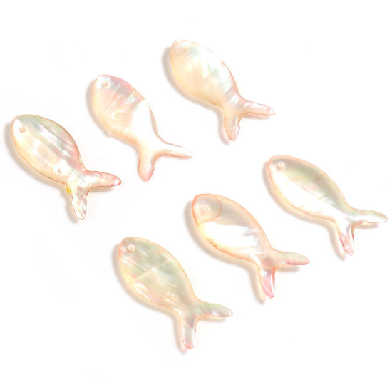 Picture of Natural Shell Ocean Jewelry Charms Fish Animal Orange Pink 25mm x 10mm, 2 PCs