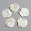 Bild von Natur Muschel Charms Jakobsmuschel Grauweiß 22mm x 22mm, 2 Stück