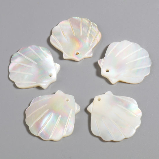 Picture of Natural Shell Charms Scallop Creamy-White 22mm x 22mm, 2 PCs