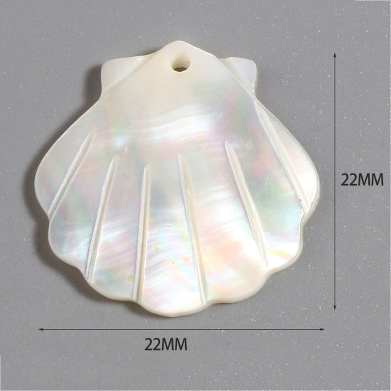 Image de Breloques Naturel en Coquille Pétoncle Crème 22mm x 22mm, 2 Pcs