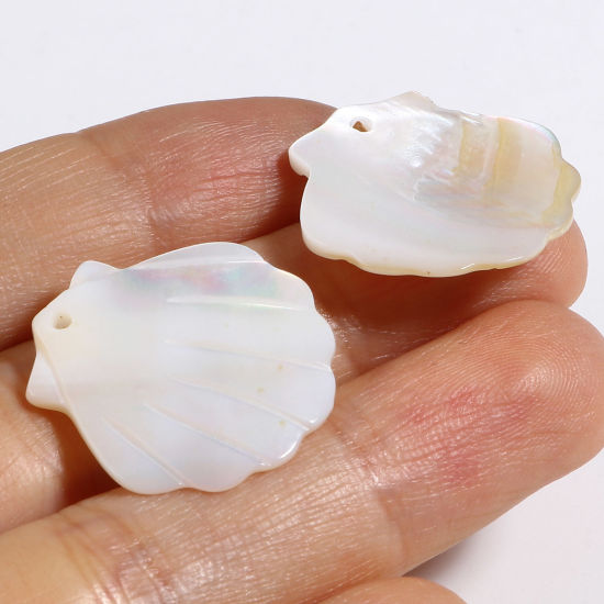 Picture of Natural Shell Charms Scallop Creamy-White 22mm x 22mm, 2 PCs