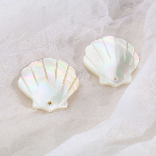 Picture of Natural Shell Charms Scallop Creamy-White 22mm x 22mm, 2 PCs