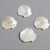Bild von Natur Muschel Charms Jakobsmuschel Grauweiß 22mm x 22mm, 2 Stück