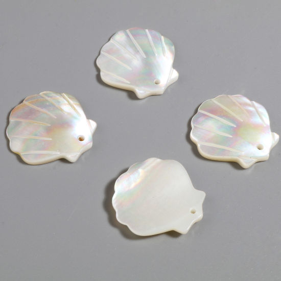 Picture of Natural Shell Charms Scallop Creamy-White 22mm x 22mm, 2 PCs