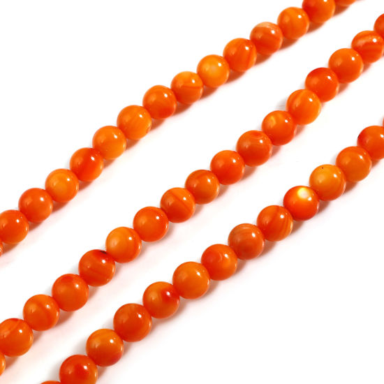 Bild von Muschel Perlen Rund Orange Gefärbt 6mm D., Loch:ca. 1mm, 38cm - 37.5cm lang, 1 Strang 59 Stücke/Strang,