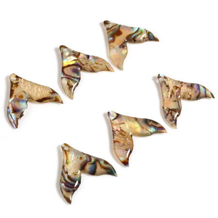 Picture of Natural Shell Charms Fishtail Multicolor 20mm x 19mm, 2 PCs