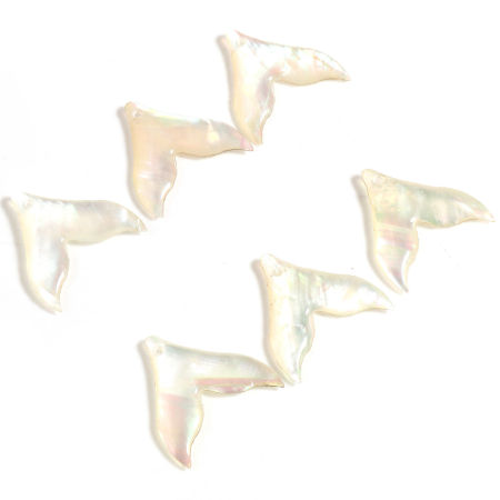 Picture of Natural Shell Charms Fishtail Multicolor 20mm x 19mm, 2 PCs