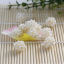 Picture of (Grade C) Natural Freshwater Cultured Pearl Beads Round White About 17mm x17mm - 15mm x15mm, Hole: Approx 1.0mm, 1 Piece