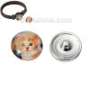 Picture of 18mm Glass Snap Button Fit Snap Button Bracelets Round Silver Tone At Random Mixed Cat Pattern, Knob Size: 5.5mm( 2/8"), 6 PCs