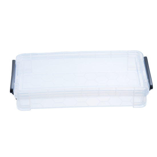 Изображение ABS Пластик Коробка для Хранения или Выставки Бусины Прямоугольник Прозрачный 21.5см x 10см, 1 ШТ