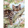 Picture of Resin Embroidery DIY Kit Diamond Painting Rhinestone Multicolor Rectangle Cat 50cm x 40cm, 1 Piece