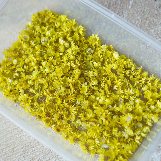 Image de Matériaux de Remplissage pour Bijoux de Résine en Fleurs Séchées Jaune 1 Paquet