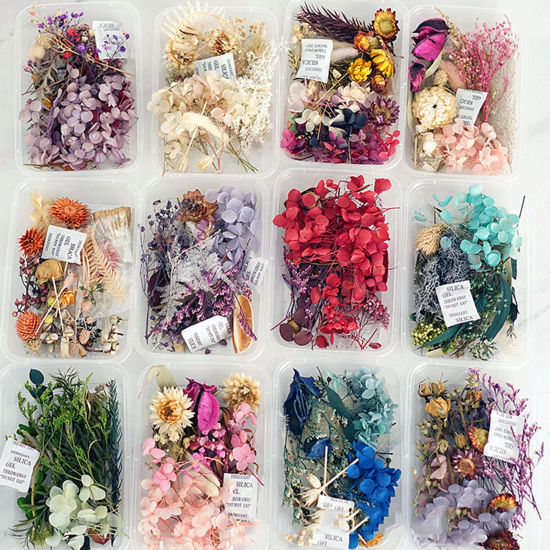 Picture of Real Dried Flower Resin Jewelry Craft Filling Material Multicolor 12cm x 8cm, 1 Box