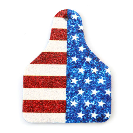 Изображение PU спорт Подвески Бутылка пива Разноцветный Флаг США 5.1см x 3.8см, 5 ШТ