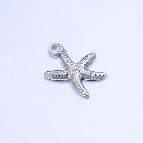 Immagine di 201 Acciaio Inossidabile Gioielli Oceanici Charms Stella di Mare Tono Argento 18mm x 14mm, 1 Pz