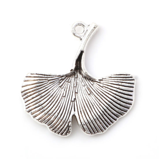 Picture of Zinc Based Alloy 3D Charms Antique Silver Color Gingko Leaf 24mm x 24mm, 10 PCs