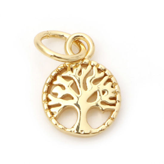 Picture of Brass Charms 18K Real Gold Plated Round Tree of Life Hollow 14mm x 7mm, 1 Piece                                                                                                                                                                               