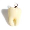 Picture of Resin Charms Tooth Gold Plated Beige 3D 17mm x 10mm, 2 PCs