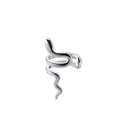Image de Boucles d'Oreille pour Cartilage en Laiton Gothique Plaqué Platine Serpent Pour l'Oreille Droite 2cm x 1.1cm, 1 Pièce                                                                                                                                         