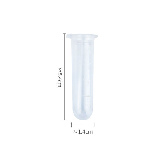 Picture of Plastic Sewing Needle Storage Box Transparent Clear 5.4cm x 1.4cm, 20 PCs