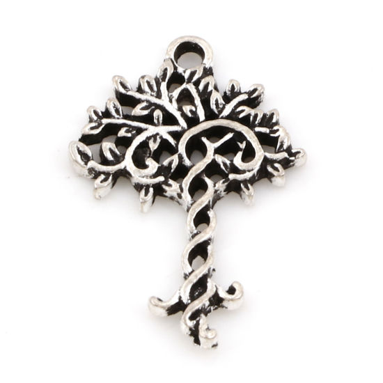 Picture of Zinc Based Alloy Charms Antique Silver Color Tree Of Life 25mm x 17mm, 10 PCs