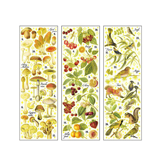 Picture of PET DIY Scrapbook Deco Stickers Multicolor Mushroom 24.5cm x 8cm, 1 Set