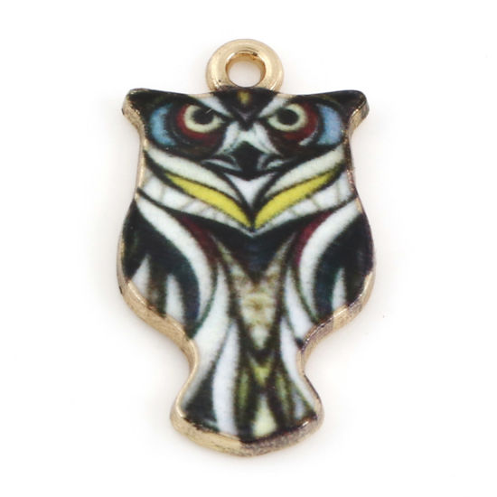 Picture of Zinc Based Alloy Halloween Charms Gold Plated Black Owl Animal Enamel 23mm x 13mm, 10 PCs