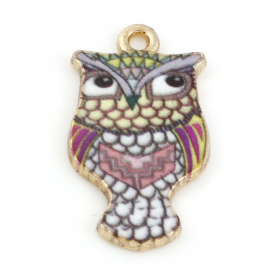Picture of Zinc Based Alloy Halloween Charms Gold Plated Multicolor Owl Animal Enamel 23mm x 13mm, 10 PCs
