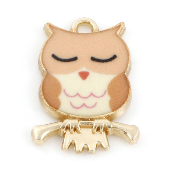 Picture of Zinc Based Alloy Halloween Charms Gold Plated Light Brown Owl Animal Enamel 21.5mm x 15mm, 10 PCs