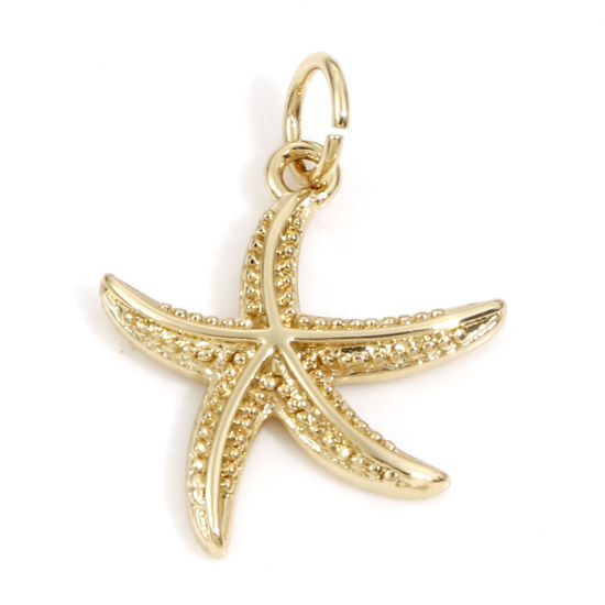 Bild von Messing Ozean Schmuck Charms 18K Echtgold plattiert Seesterne 21mm x 15mm, 2 Stück