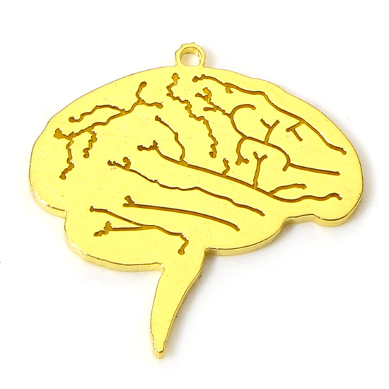 Picture of 2 PCs Vacuum Plating 304 Stainless Steel Medical Charms Gold Plated Cerebrum/ Brain 17mm x 15mm