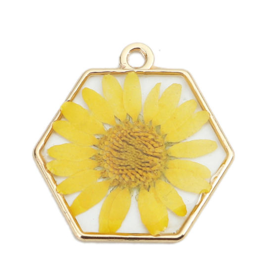 Image de 3 Pcs Breloques Bijoux en Résine Faits à la Main Fleur Séchée en Alliage de Zinc Doré Jaune Hexagone 29mm x 28mm