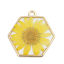 Image de 3 Pcs Breloques Bijoux en Résine Faits à la Main Fleur Séchée en Alliage de Zinc Doré Jaune Hexagone 29mm x 28mm