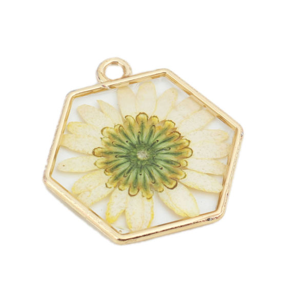 Image de 3 Pcs Breloques Bijoux en Résine Faits à la Main Fleur Séchée en Alliage de Zinc Doré Jaune Hexagone 29mm x 28mm