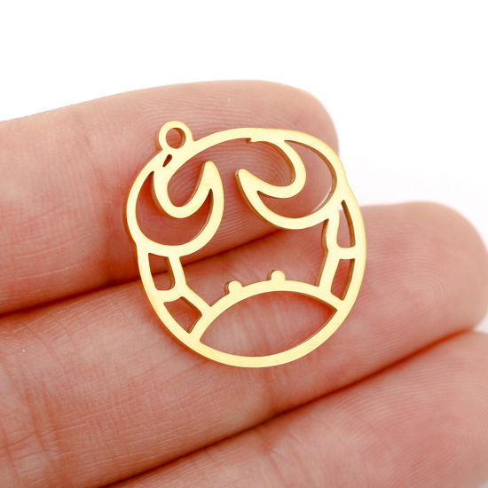 Immagine di 1 Pz 304 Acciaio Inossidabile Charms Tondo Oro Placcato Costellazione Pesci Filigrana 22mm x 20mm