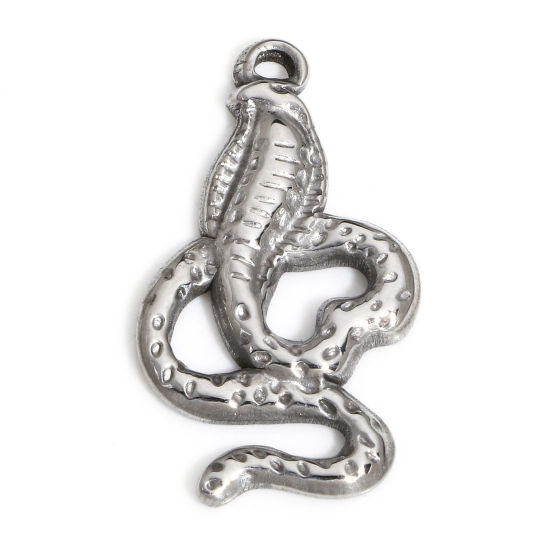 Image de 1 Pièce Breloques en 304 Acier Inoxydable Serpent Argent Mat 26mm x 14mm