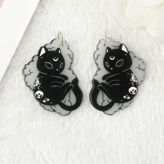 Picture of 10 PCs Acrylic Glow In The Dark Pendants Cat Animal Black & White Double Sided 3.5cm x 2.8cm