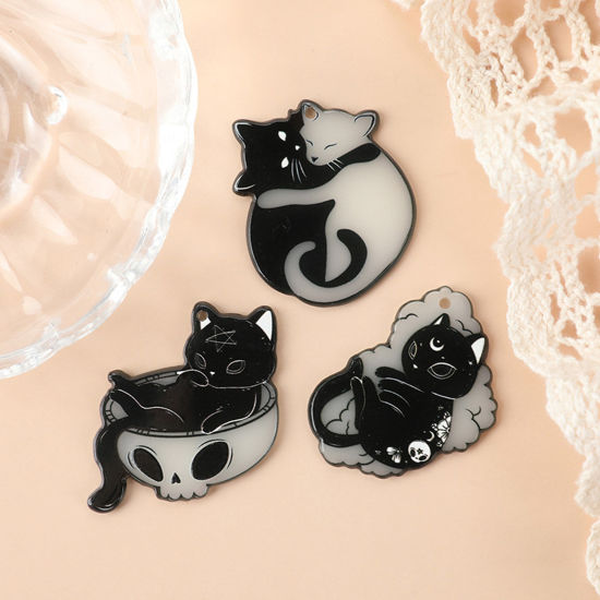 Picture of 10 PCs Acrylic Glow In The Dark Pendants Cat Animal At Random Mixed Black & White Double Sided