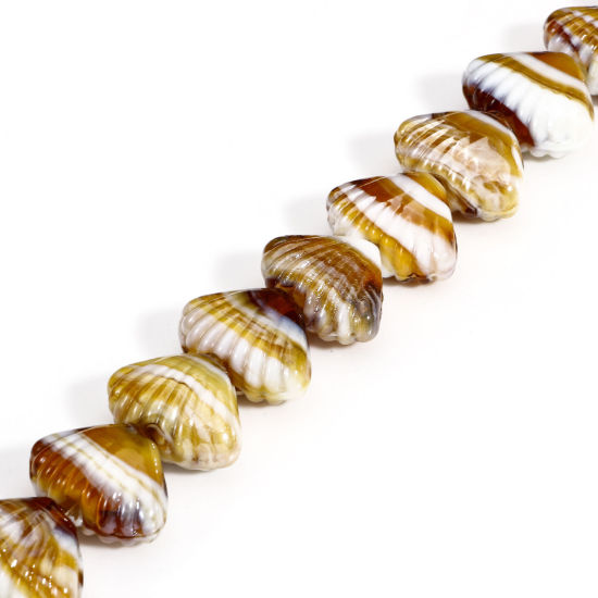 Bild von 10 Stück Muranoglas Ozean Schmuck Perlen für die Herstellung von DIY-Charme-Schmuck Muschel Braun Textur ca 22mm x 16mm, Loch:ca. 2.5mm-1.5mm