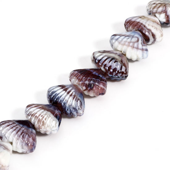 Bild von 10 Stück Muranoglas Ozean Schmuck Perlen für die Herstellung von DIY-Charme-Schmuck Muschel Kaffeebraun Textur ca 22mm x 16mm, Loch:ca. 2.5mm-1.5mm