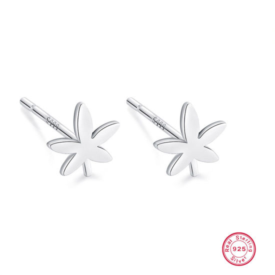 Picture of 1 Pair Sterling Silver Ear Post Stud Earrings Silver Color Maple Leaf 5mm x 11mm, Post/ Wire Size: (21 gauge)
