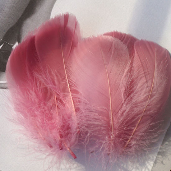 Picture of 100 PCs Natural Dyed Goose Feather DIY Handmade Craft Materials Accessories Dark Pink 12cm - 6cm