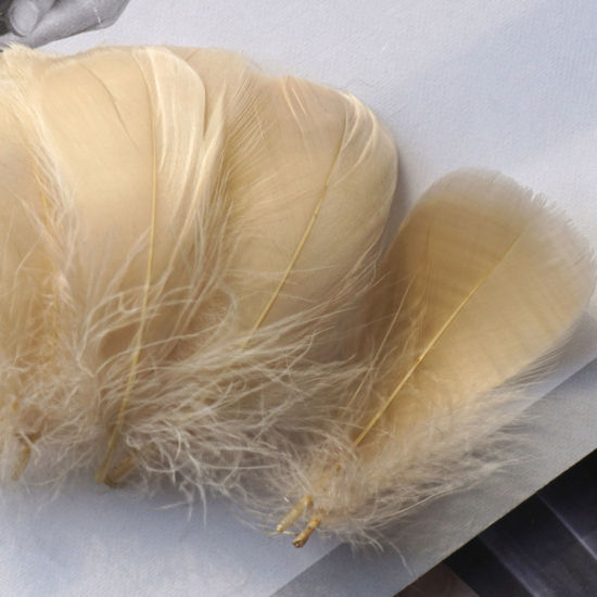 Picture of 100 PCs Natural Dyed Goose Feather DIY Handmade Craft Materials Accessories Light Khaki 12cm - 6cm
