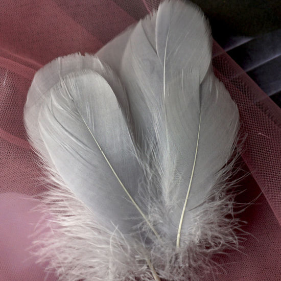 Picture of 100 PCs Natural Dyed Goose Feather DIY Handmade Craft Materials Accessories Gray 12cm - 6cm