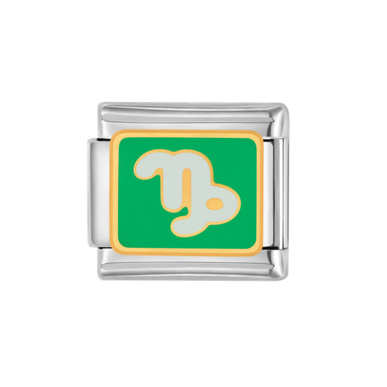 Изображение 1 ШТ 304 Нержавеющая Сталь Очаровательный итальянский браслет со звеньями Изготовление ювелирных изделий своими руками Серебряный Тон Светло-зеленый Прямоугольник Созвездие Козерог С Эмалью 10мм x 9мм