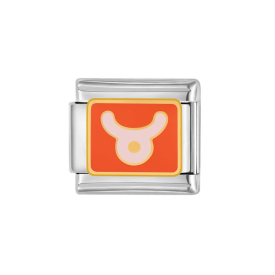 Изображение 1 ШТ 304 Нержавеющая Сталь Очаровательный итальянский браслет со звеньями Изготовление ювелирных изделий своими руками Серебряный Тон Оранжевый Прямоугольник Созвездие Телец С Эмалью 10мм x 9мм