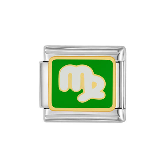 Изображение 1 ШТ 304 Нержавеющая Сталь Очаровательный итальянский браслет со звеньями Изготовление ювелирных изделий своими руками Серебряный Тон Темно-зеленый Прямоугольник Созвездие Дева С Эмалью 10мм x 9мм